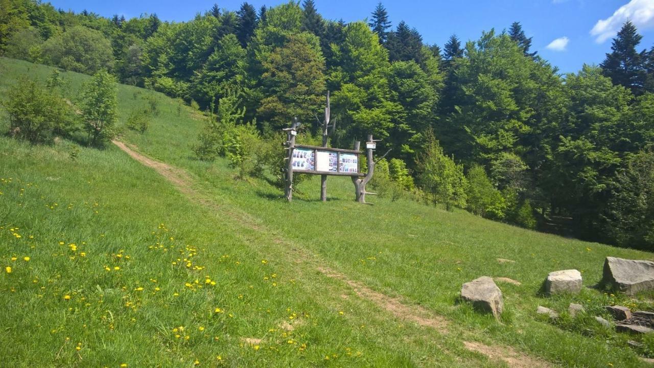 Pod Kamiennikiem Hotel Trzemesnia Luaran gambar